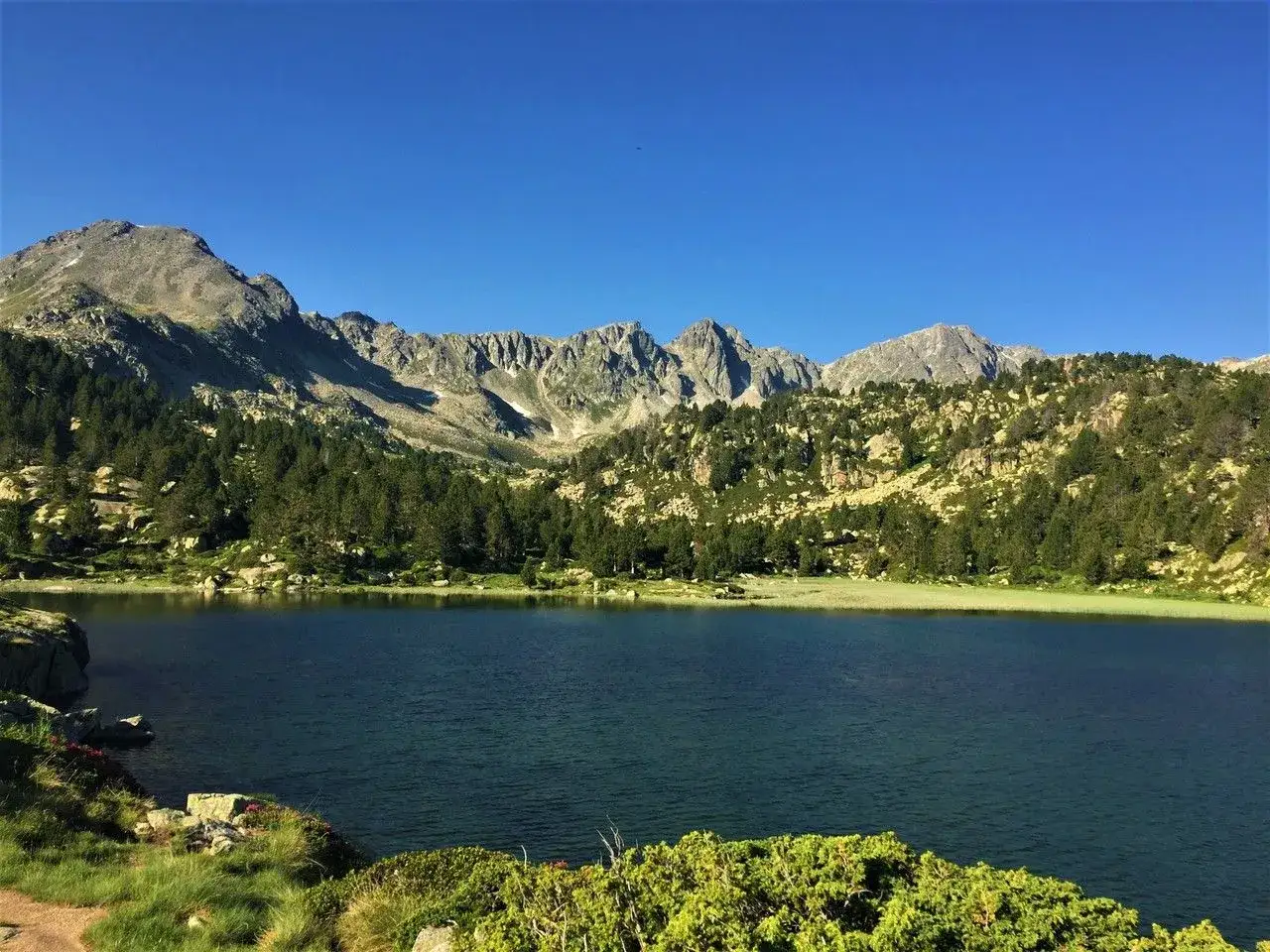 Llac de Pessons, un espejo de agua sereno rodeado de pinos y montañas imponentes bajo un cielo azul.