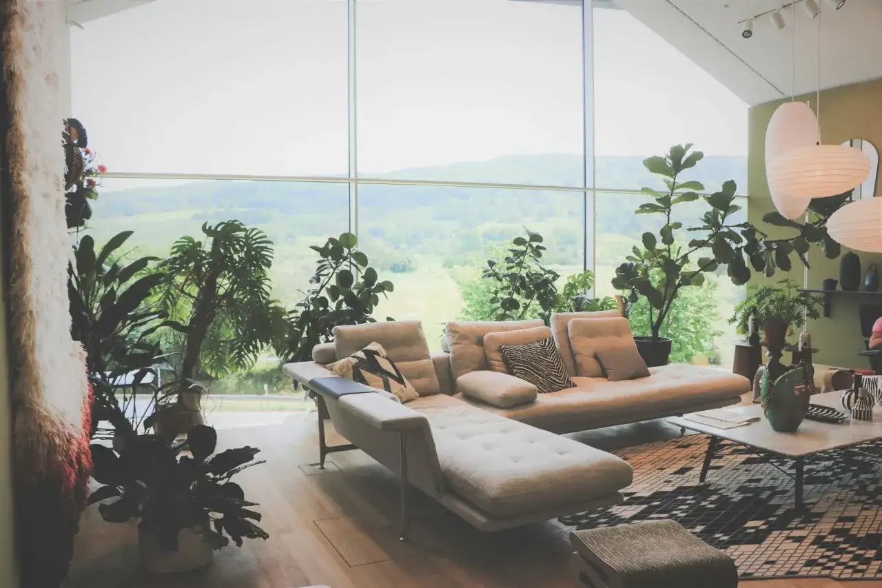 Gem&uuml;tliches Wohnzimmer im Mid-Century-Modern-Stil mit gro&szlig;em Fenster, bequemer Couch und vielen Pflanzen.