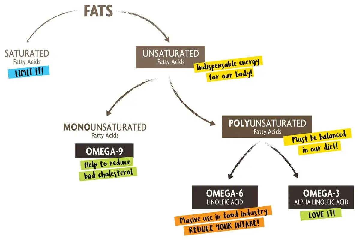Schema sui grassi: saturi (limitare), insaturi (energia), monoinsaturi (omega-9, colesterolo) e polinsaturi (omega-6, omega-3). Bilanciare omega-6 e omega-3.