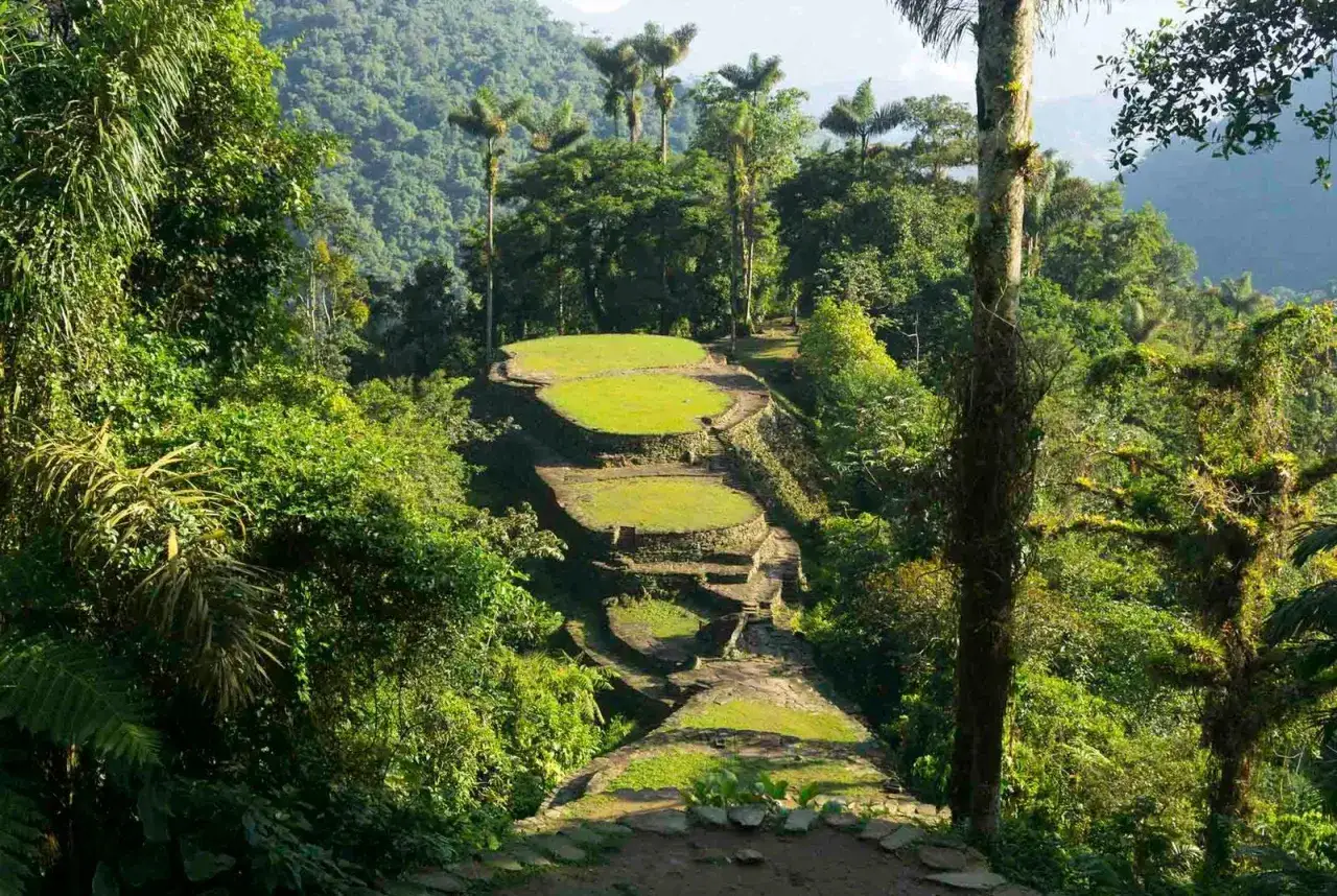Terrazas verdes y senderos de piedra en la **ciudad perdida Colombia**, rodeados de exuberante vegetación y palmeras altas.