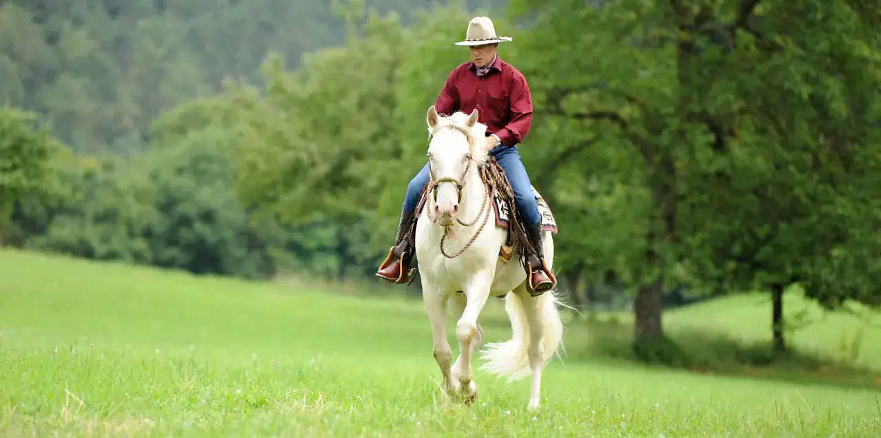 Ein Mann im Cowboyhut reitet auf einem weißen Pferd über eine grüne Wiese. Der Reiter und das Pferd zeigen einen perfekten **balance pferd**.