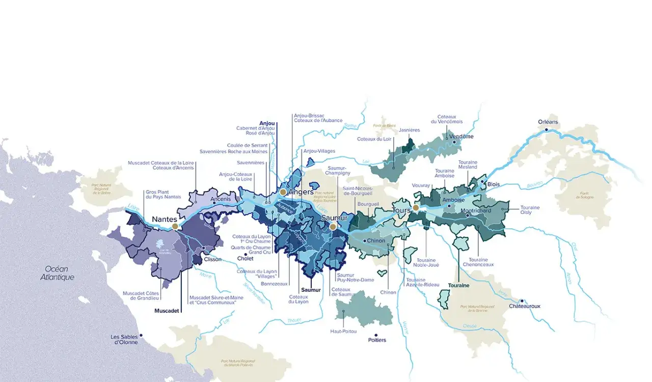 Karte der Weinregionen der Loire, mit Hervorhebung von Muscadet-Gebieten bei Nantes.