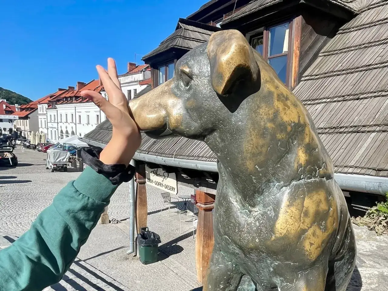Kazimierz Dolny z psem. Dłoń dotyka pyska rzeźby psa na tle urokliwych kamieniczek.