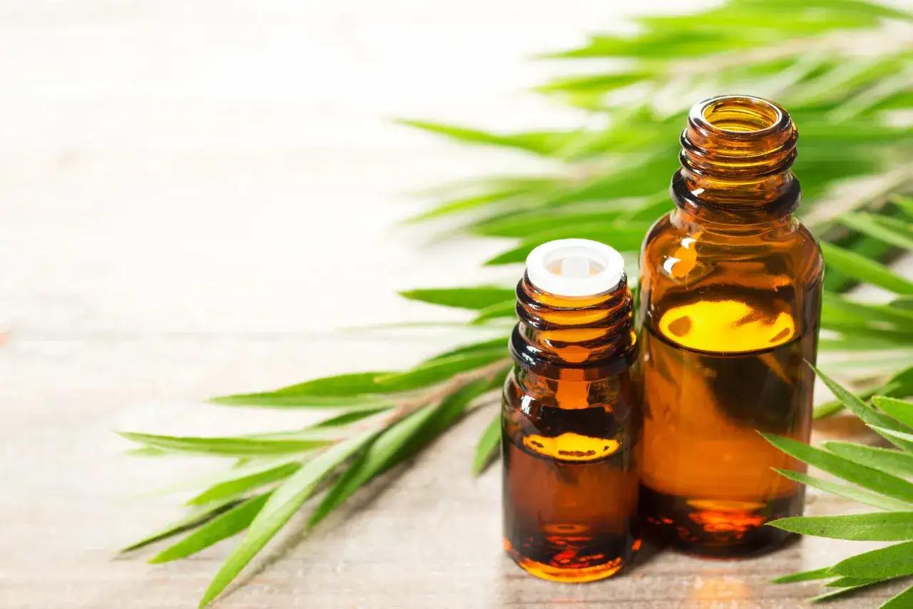 Tv&aring; b&auml;rnstensf&auml;rgade flaskor med tea tree oil st&aring;r bland gr&ouml;na blad p&aring; en tr&auml;yta.