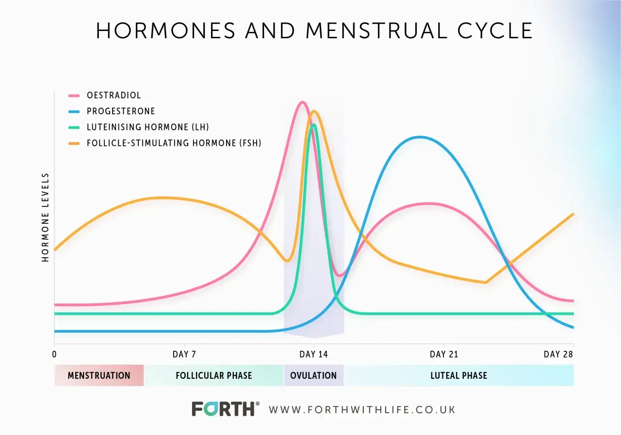 Gr&aacute;fico de niveles hormonales durante el ciclo menstrual. Muestra c&oacute;mo aumentar la progesterona en la fase l&uacute;tea.
