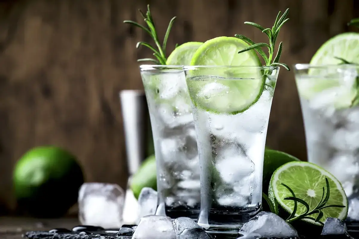 Erfrischender dzin tonik mit Limettenscheiben und Rosmarin, serviert mit Eiswürfeln auf dunklem Hintergrund.
