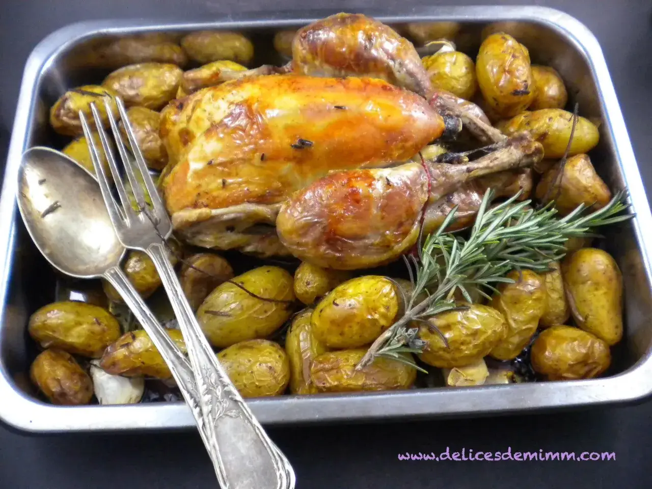 Un poulet rôti doré avec des pommes de terre nouvelles et du romarin, prêt à être dégusté. Parfait pour des recettes avec poulet.