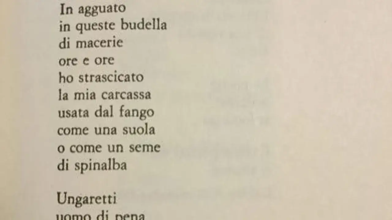 In memoria Ungaretti, versi che descrivono una carcassa trascinata nel fango, come una suola o un seme di spinalba.
