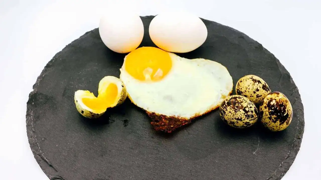 Ein Spiegelei und Wachteleier liegen auf einem dunklen Stein. Kleine Welpen lieben es, Eier zu essen.