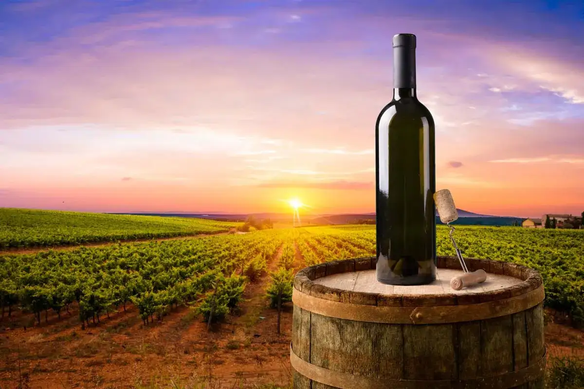 Flasche Wein auf einem Fass vor toskanischer Weinlandschaft bei Sonnenuntergang. Hier reifen die besten Weine Toskana.