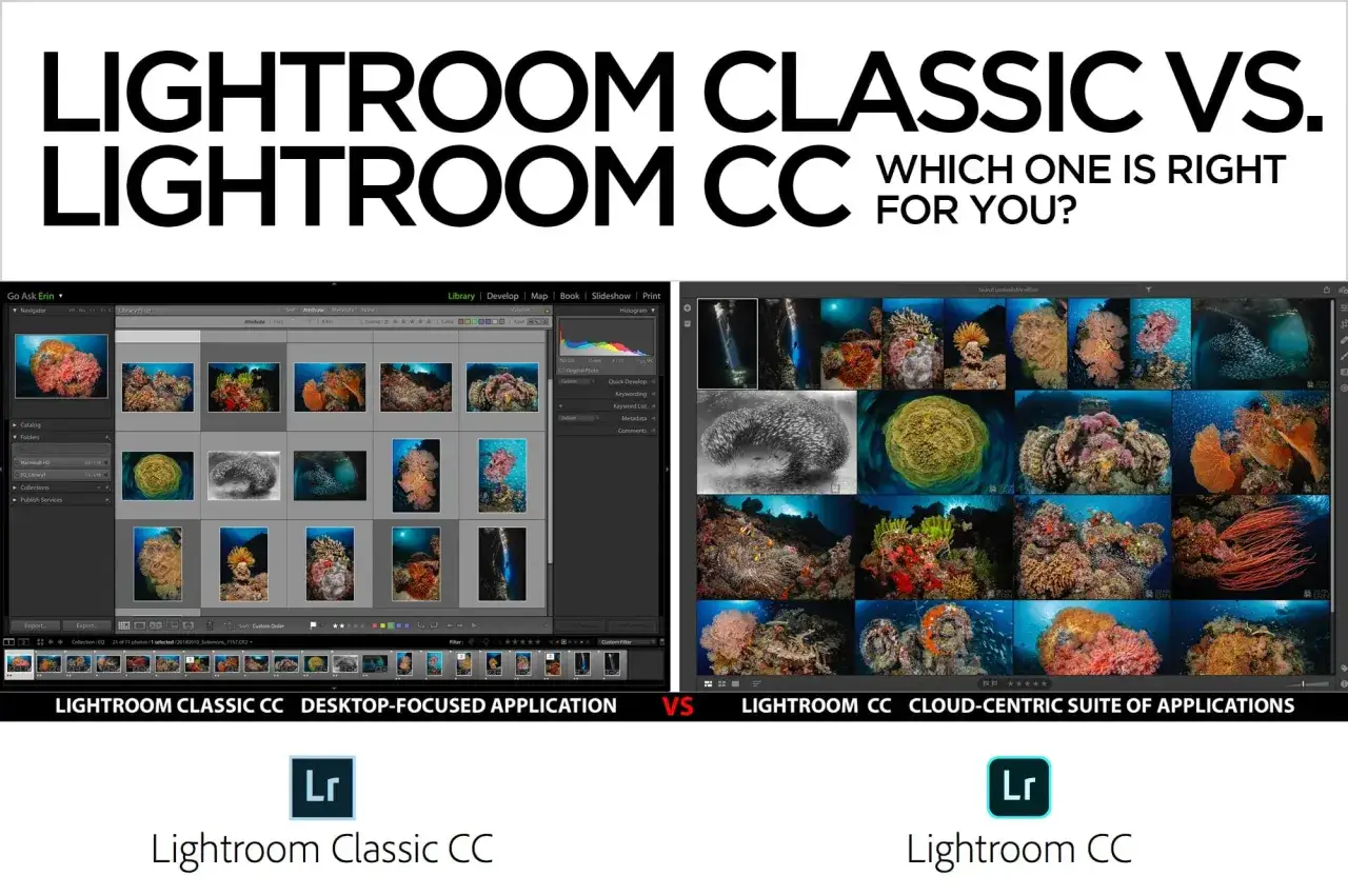 Comparativa de Lightroom Classic CC (aplicaci&oacute;n de escritorio) y Lightroom CC (suite en la nube), mostrando interfaces y colecciones de fotos submarinas.