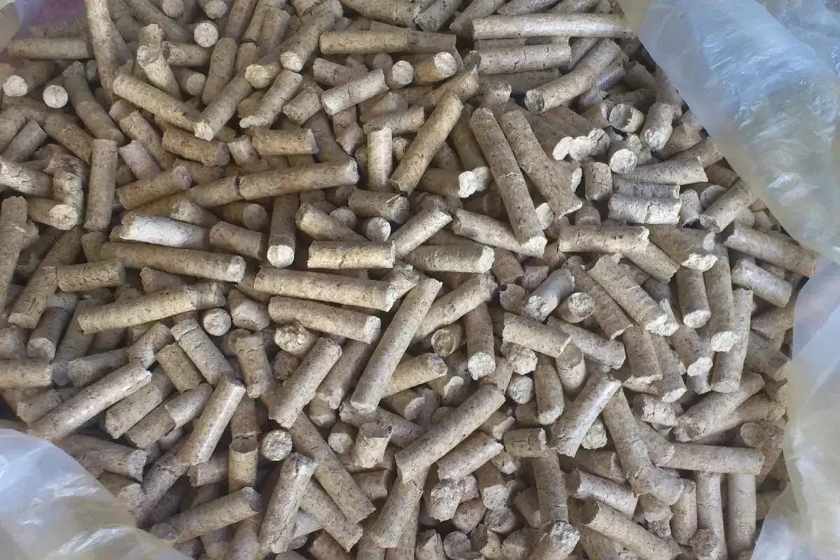 Mnóstwo drewnianych walców, które pokazują, jak zrobić pellet. Są one ułożone w worku, gotowe do użycia jako paliwo.