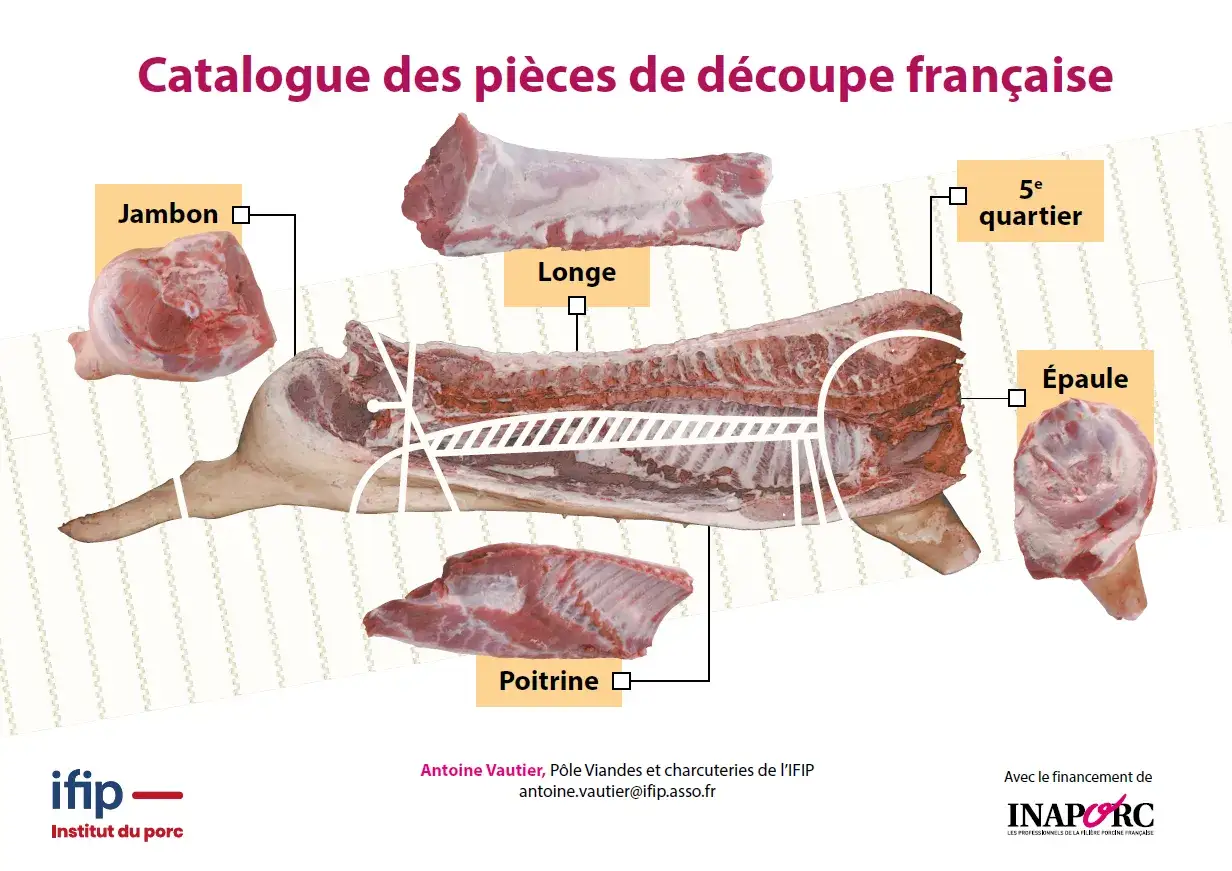 Catalogue de découpe française : jambon, longe, poitrine, 5e quartier, épaule. Guide pour comment découper un cochon entier.
