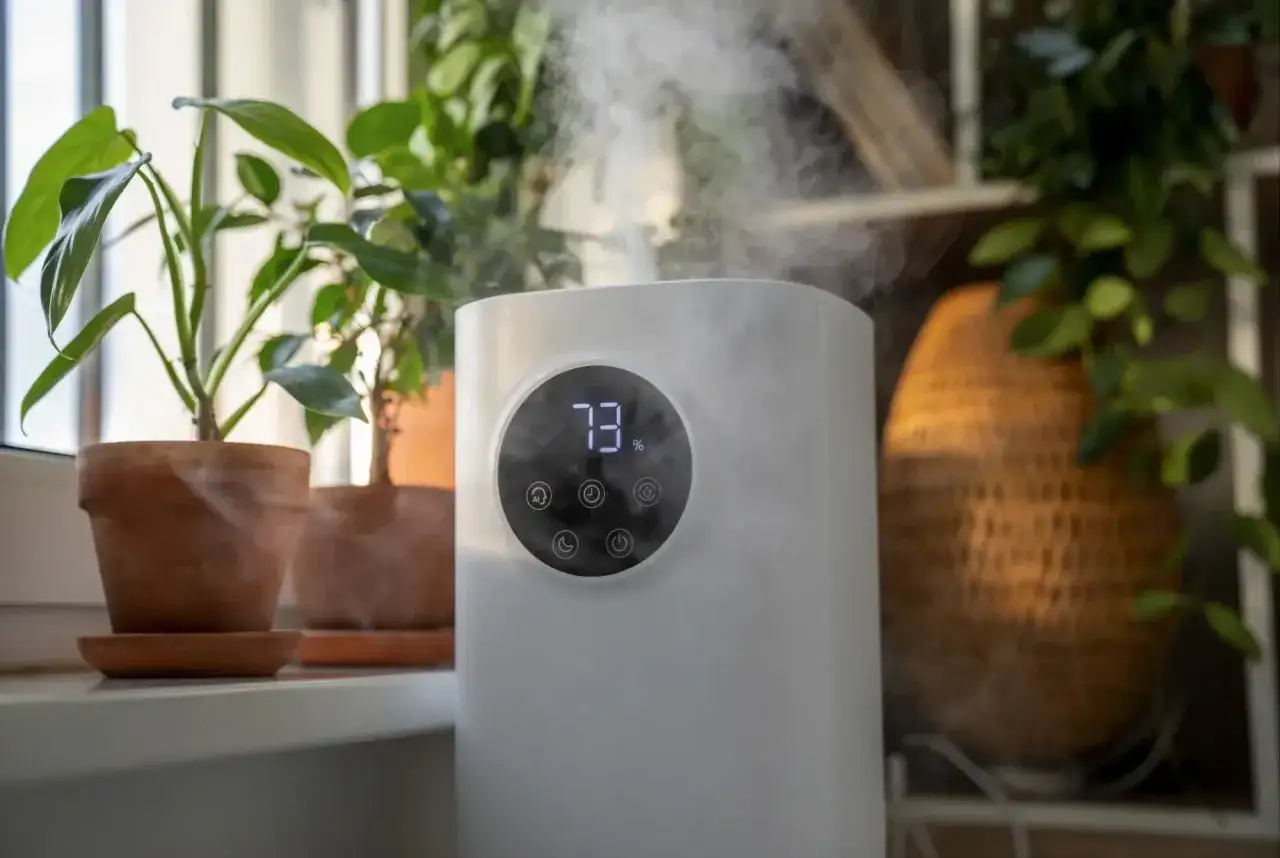 Luftbefeuchter sorgt für ideale Luftfeuchtigkeit für Pflanzen. Nebel steigt auf und umhüllt die grünen Blätter.