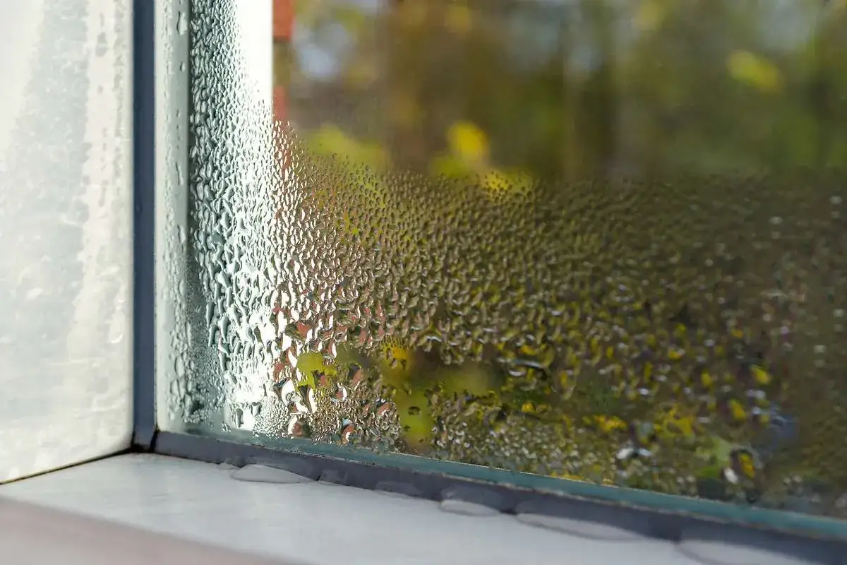 Gotas de lluvia empa&ntilde;an la ventana, creando un velo borroso sobre el exterior verde y amarillo.