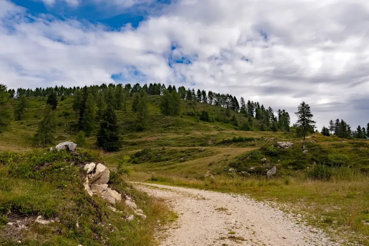 Sentiero sterrato sale verso la **malga Casapinello**, circondata da verdi pendii e boschi di conifere sotto un cielo nuvoloso.