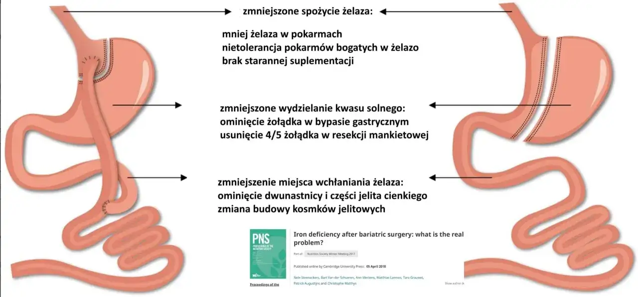 Schemat wchłaniania kwasów żółciowych