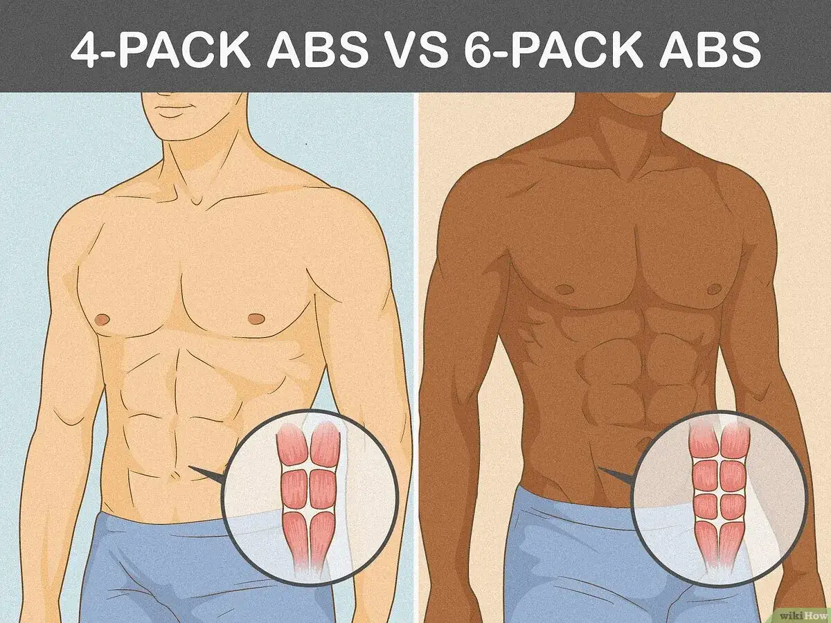 Vergleich von 4-Pack vs. 6-Pack Bauchmuskeln. Das Bild zeigt, was ein Sixpack ist: sechs definierte Bauchmuskeln.