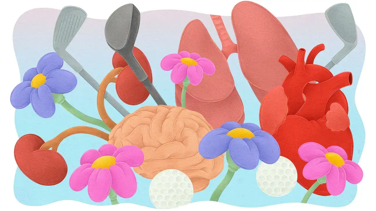 Golfklubbor, blommor och mänskliga organ som hjärta och lungor. En illustration som visar golf som friskvård för kropp och sinne.