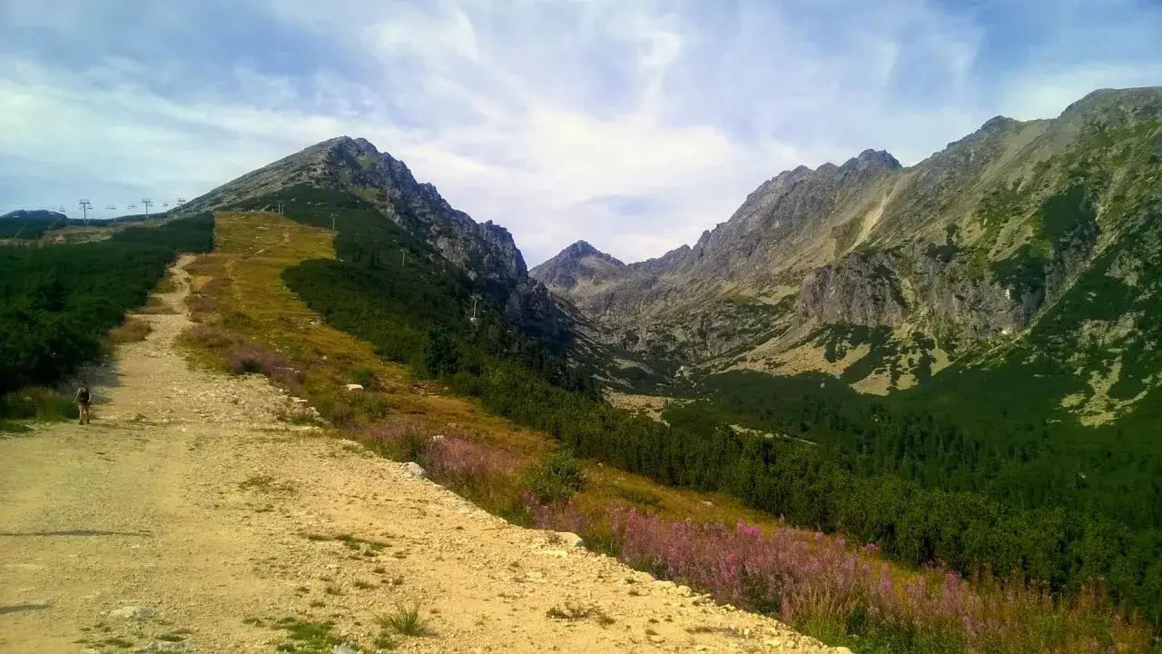 Słowacja góry gdzie jechać? Szlak przez Tatry Wysokie, z widokiem na dolinę i stoki pokryte kosodrzewiną i kwitnącymi łubinami.