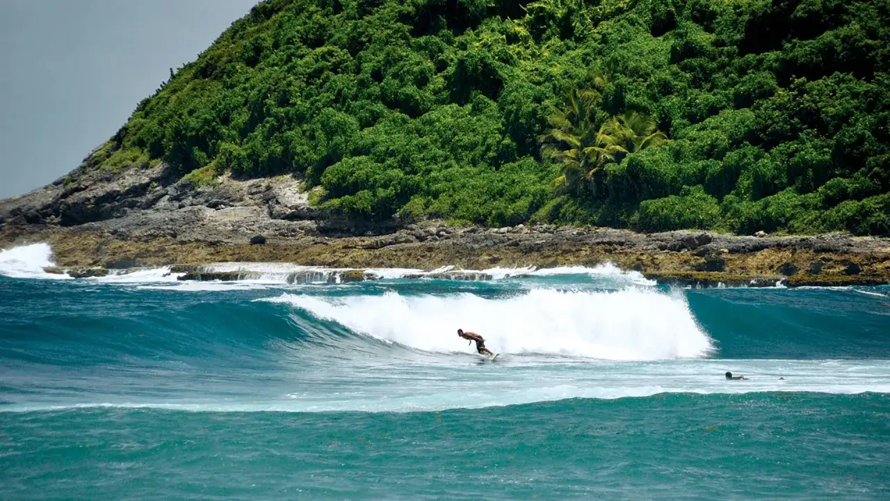 Surfer reitet eine Welle vor einer üppig grünen Küste auf Guadeloupe.