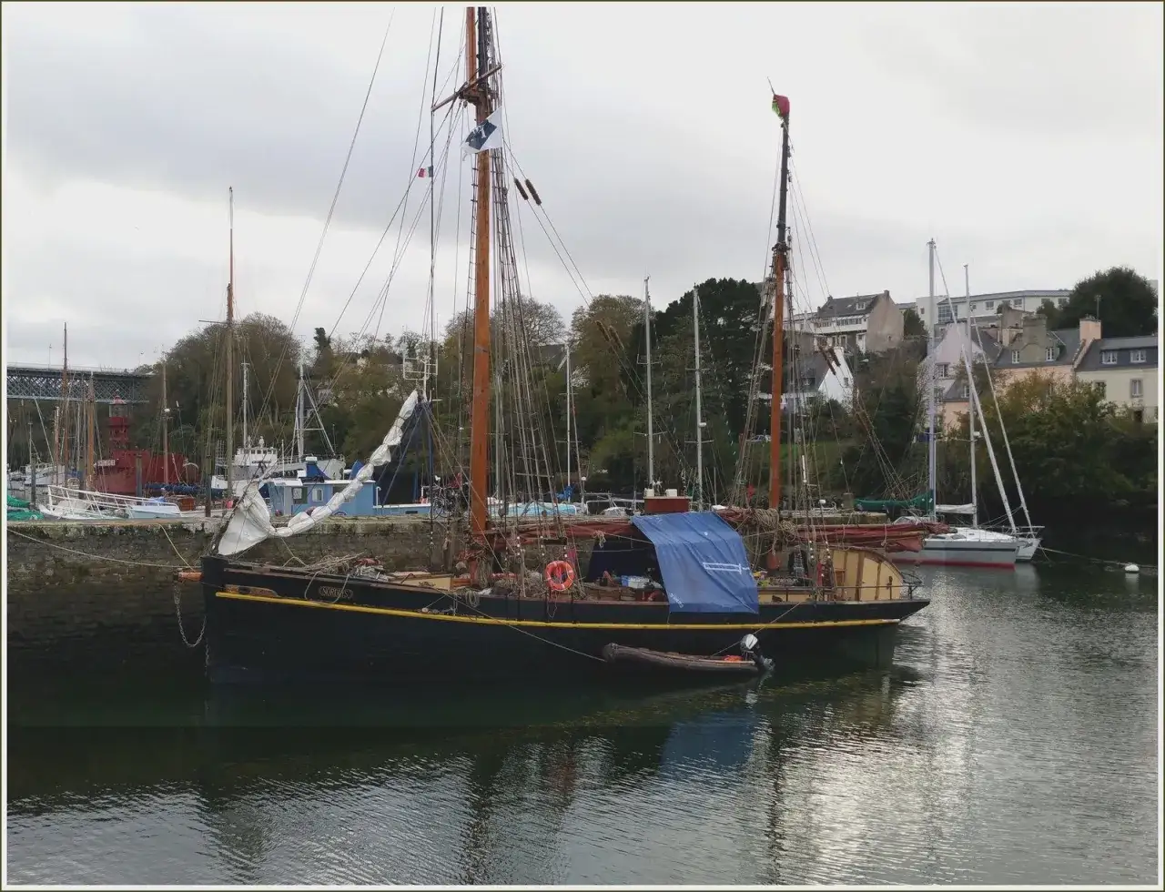 Un majestueux voilier noir, tel un cygne, est amarré dans un port. D'autres voiliers et des maisons bordent le quai.
