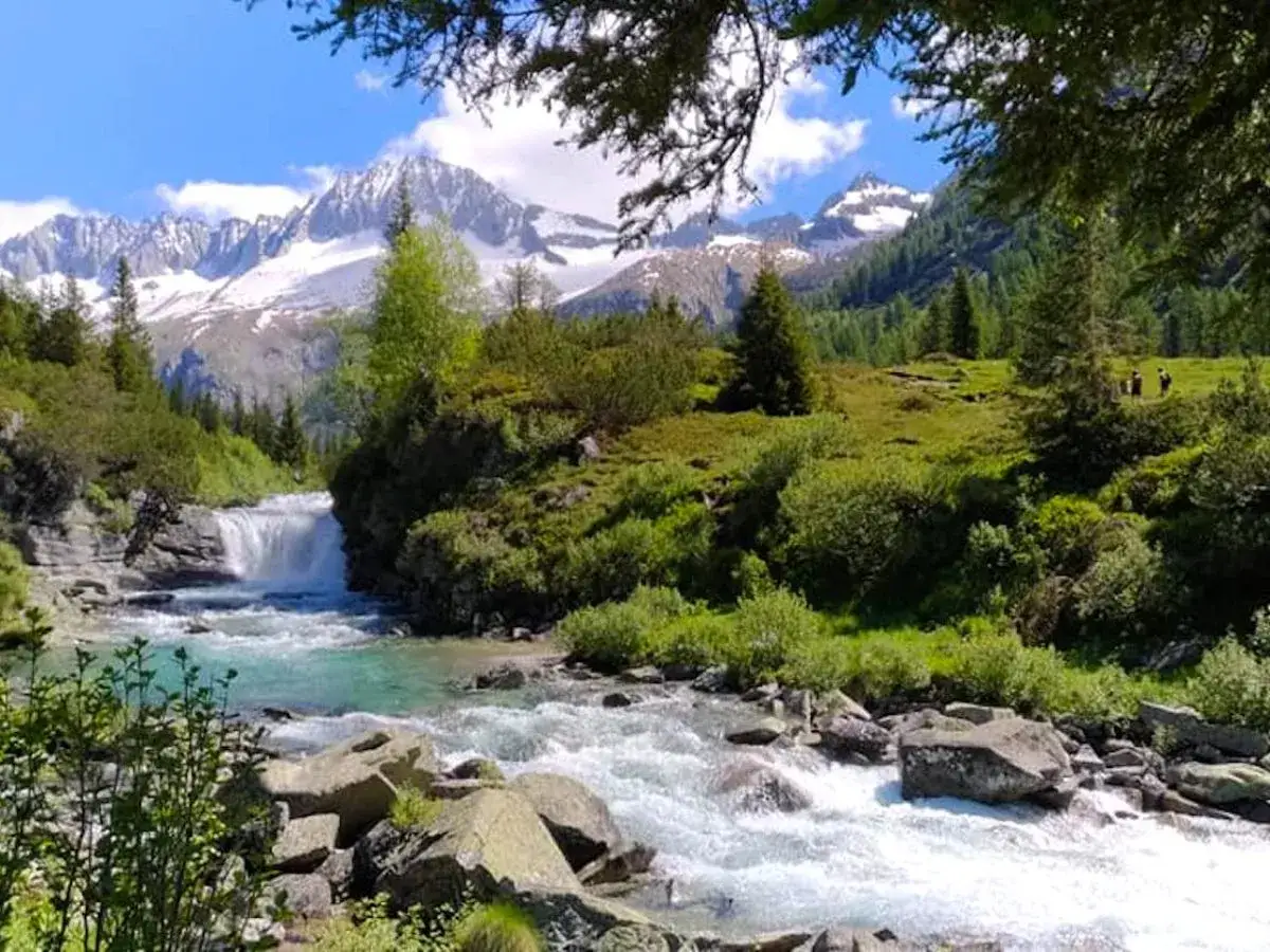 Un torrente cristallino scorre tra rocce e vegetazione lussureggiante nel Val di Fumo, con montagne innevate sullo sfondo.