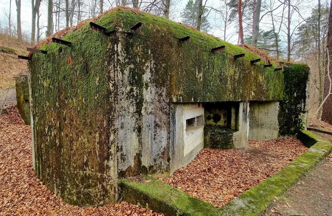 Bunkry Linii Mołotowa Roztocze
