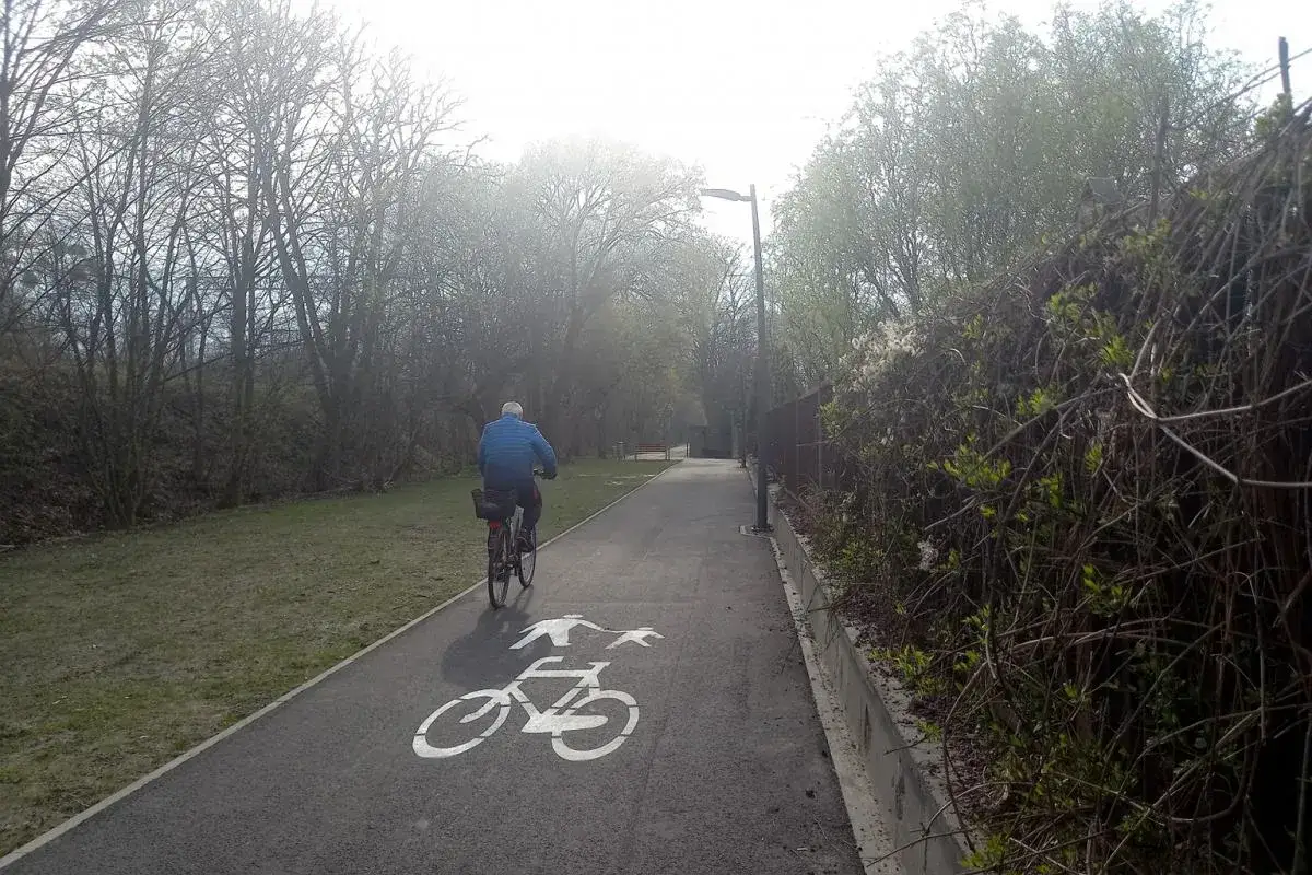 Mężczyzna na rowerze jedzie ścieżką rowerową na promenadzie krzyckiej. Wiosenna zieleń otacza drogę.