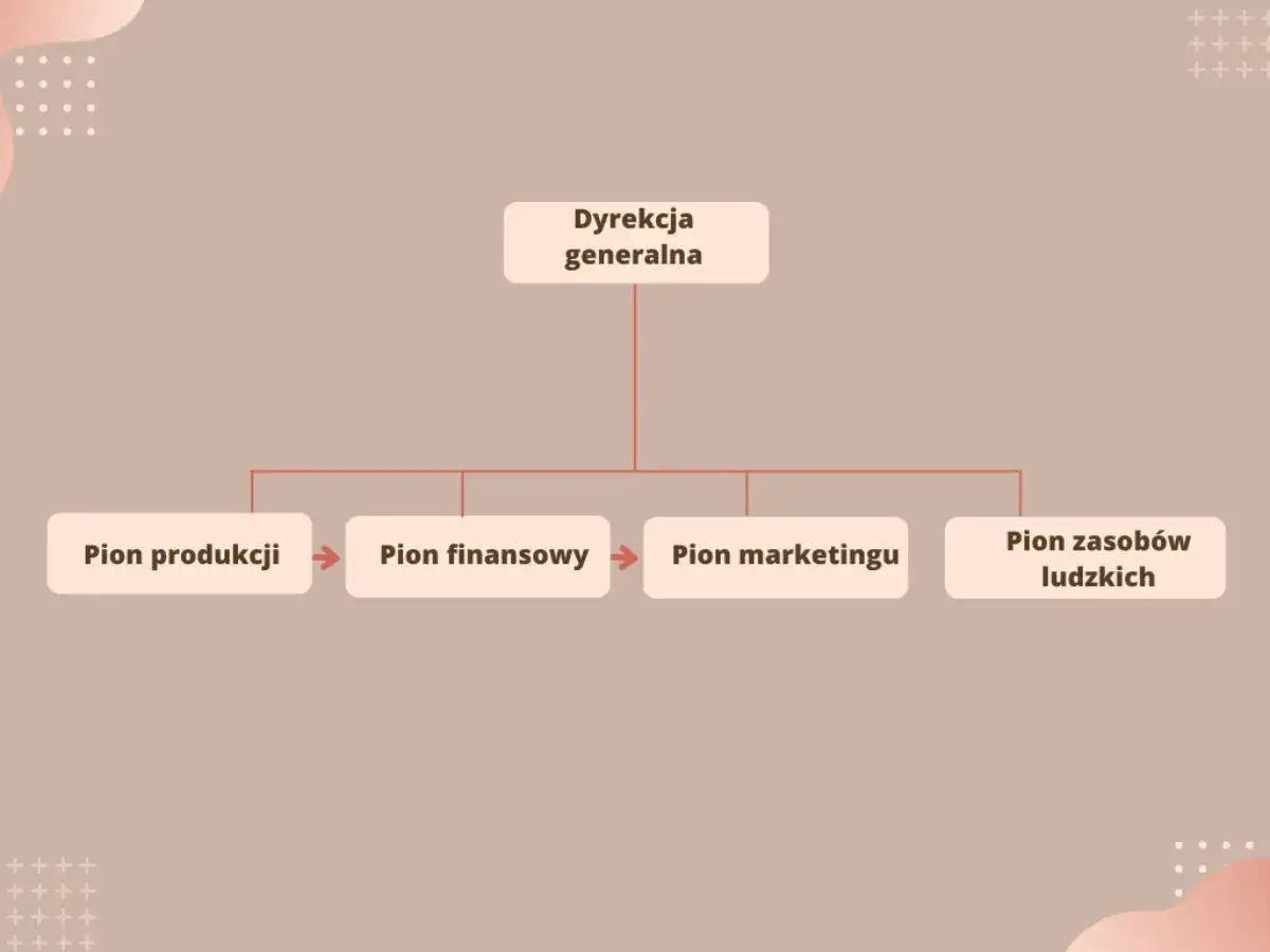 Schemat pokazuje płaską strukturę organizacyjną: Dyrekcja generalna nadzoruje pion produkcji, finansowy, marketingu i zasob&oacute;w ludzkich.