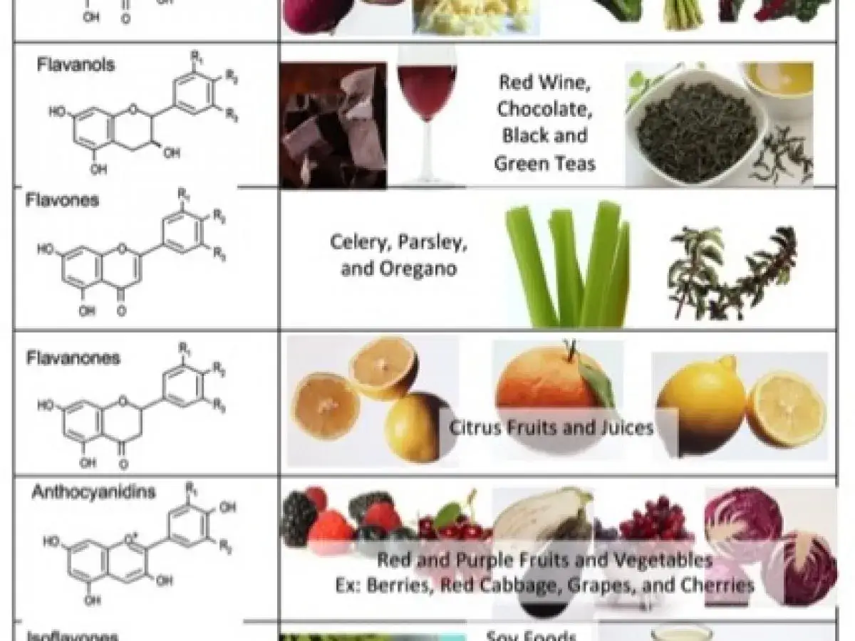 Flavonoide Lebensmittel: Flavanole in Rotwein, Schokolade, Tee. Flavone in Sellerie, Petersilie. Flavanone in Zitrusfr&uuml;chten. Anthocyane in roten Fr&uuml;chten & Gem&uuml;se.