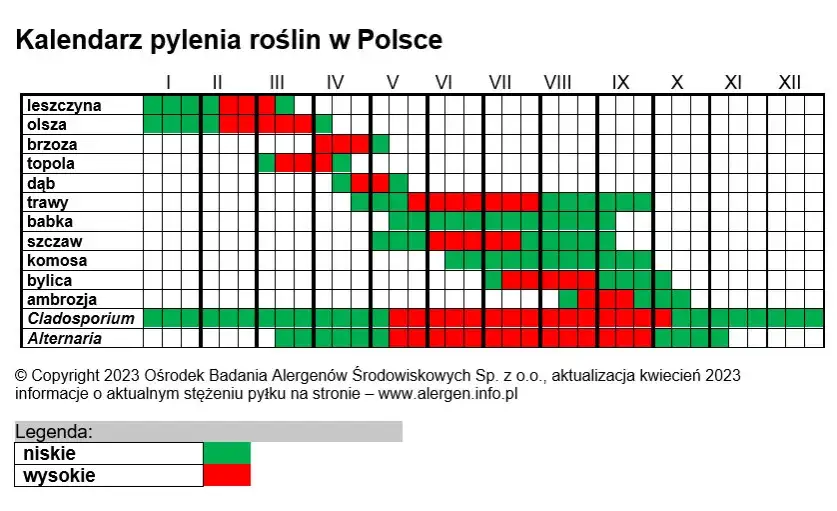 kalendarz pyleń w Polsce