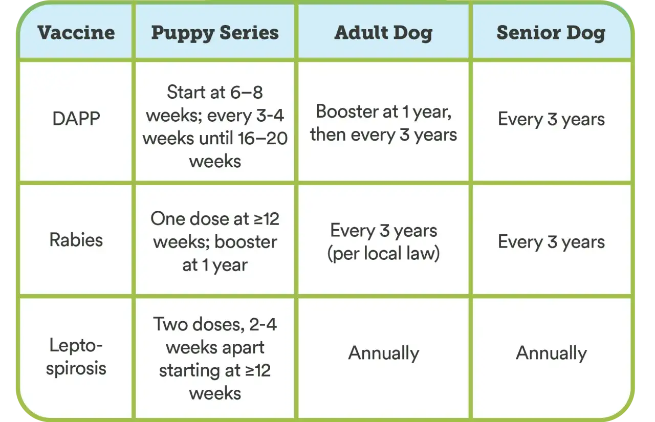 Chart shows DAPP vaccine schedule for puppies, adult, and senior dogs. DAPP protects against parvovirus.