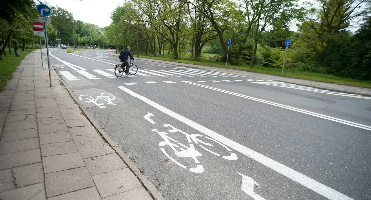 Rowerzysta na jednopasmowej drodze z wyznaczonym pasem rowerowym i przejściem dla pieszych.