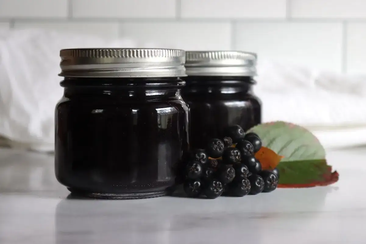 Zwei Gl&auml;ser mit dunkler Aroniabeeren-Marmelade, daneben frische Aroniabeeren und Bl&auml;tter. Perfekt zum Aronia beeren verarbeiten.