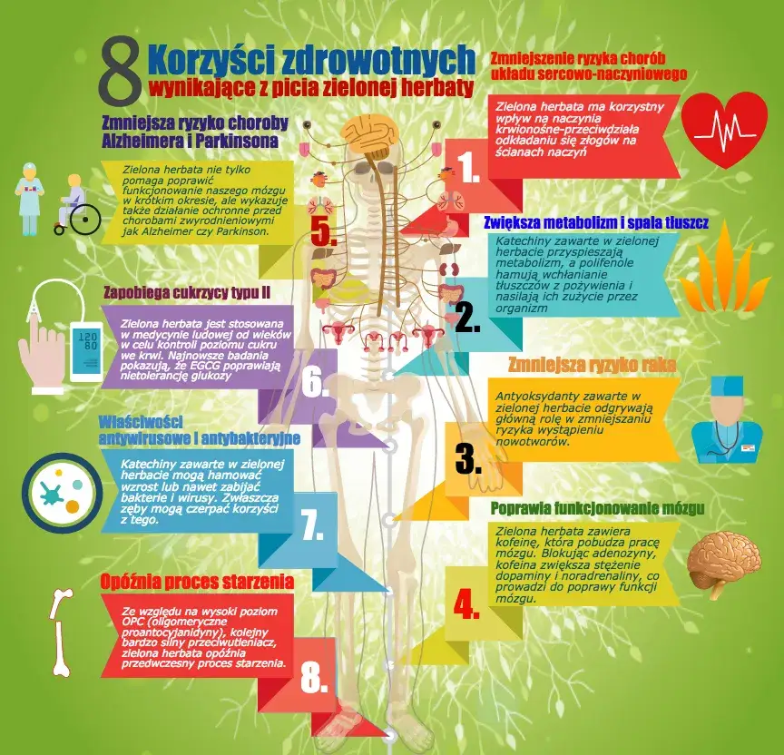 zaparzanie zielonej herbaty infografika