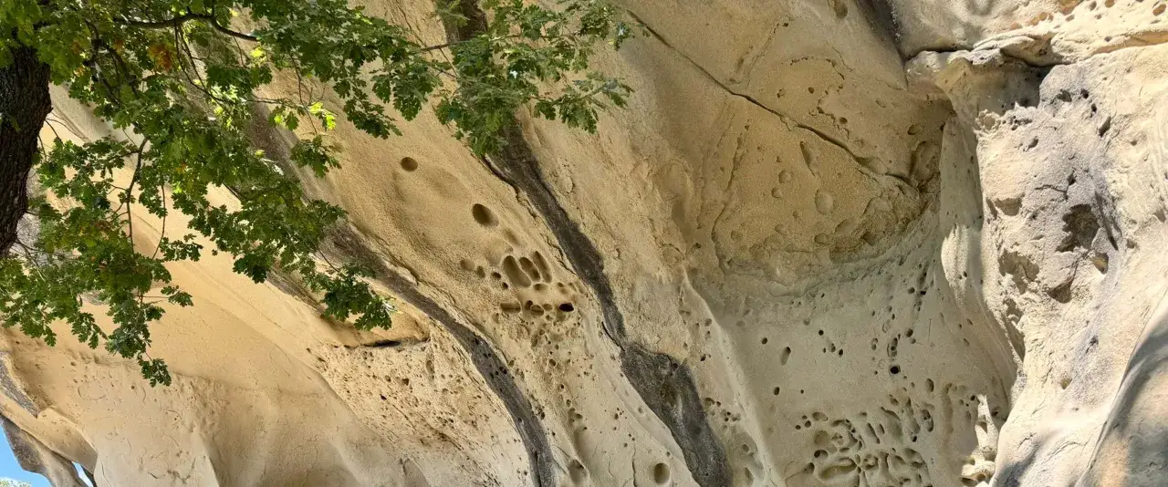 Le **grotte di soprasasso** scavate nella roccia calcarea, con rami verdi che le ombreggiano.