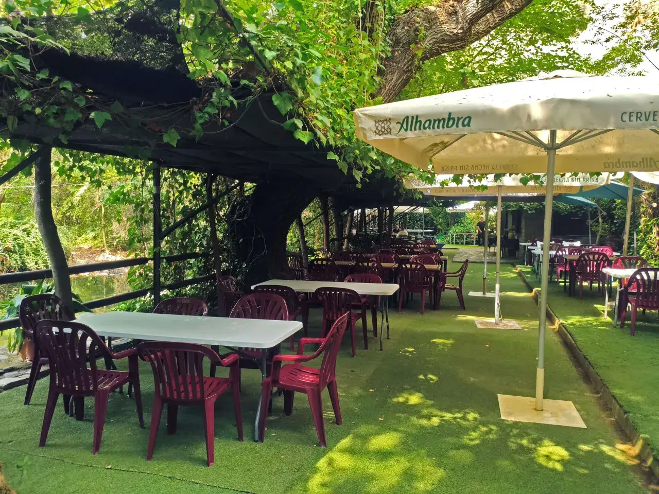 Mesas y sillas rojas bajo toldos y vegetación frondosa, junto a un río. Un oasis de paz en los restaurantes en la fabriquilla Cabo de Gata.