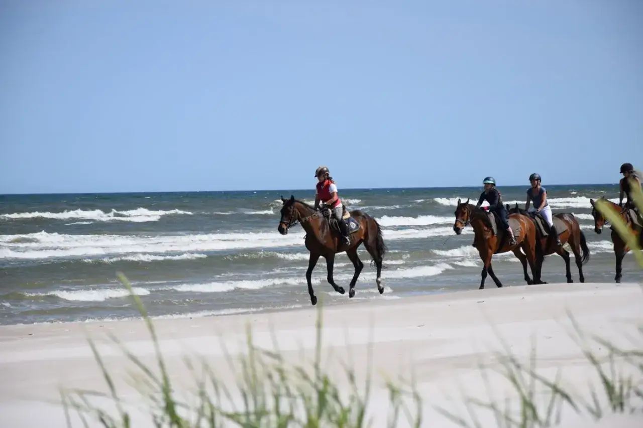 Jazda konna po plaży Białogóra