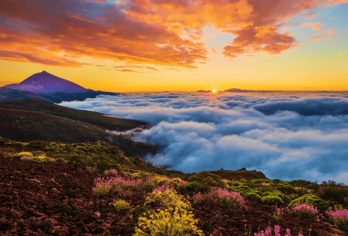 Sonnenaufgang &uuml;ber Wolkenmeer am Teide, Teneriffa. Die beste Reisezeit f&uuml;r dieses Naturschauspiel ist oft im Fr&uuml;hling, wenn die Blumen bl&uuml;hen.