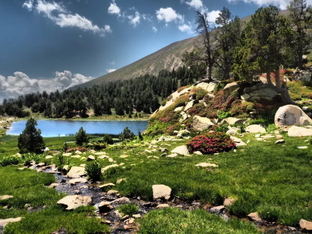 Un lago azul rodeado de pinos y rocas cubiertas de flores rosas. Los **Estanys de la Pera** brillan bajo un cielo nublado.