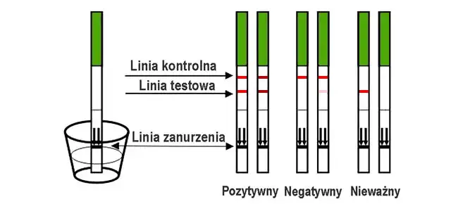 testy owulacyjne interpretacja