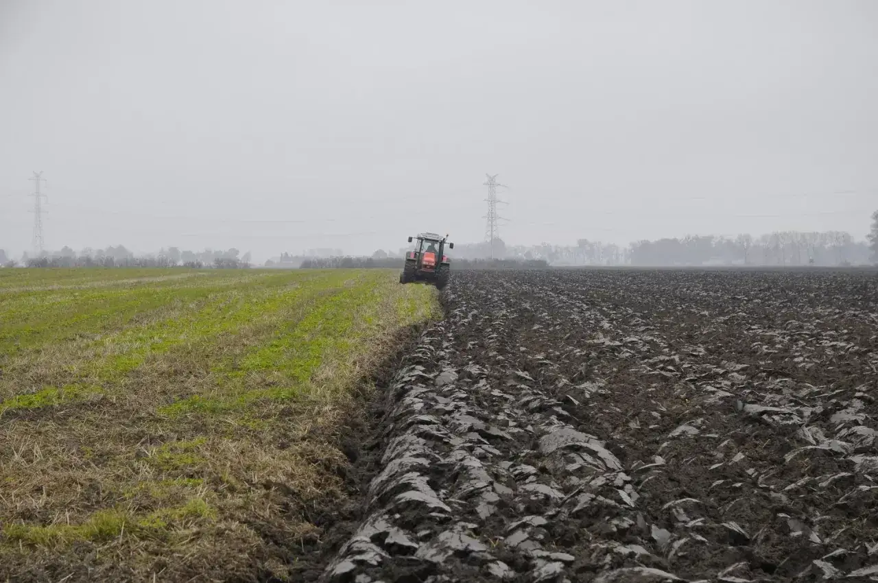Czerwony traktor orze pole, dzieląc je na zieloną i czarną ziemię. Kto kontroluje rynek obrotu ziemią rolną i czy zakaz zakupu przez obcokrajowców działa?