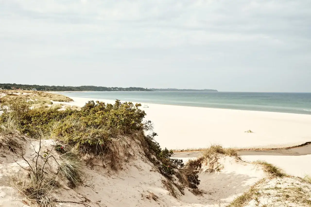 En vidsträckt strand med vit sand och böljande sanddyner. Havet glittrar i bakgrunden, en idyllisk plats som påminner om vit sand i Danmark.