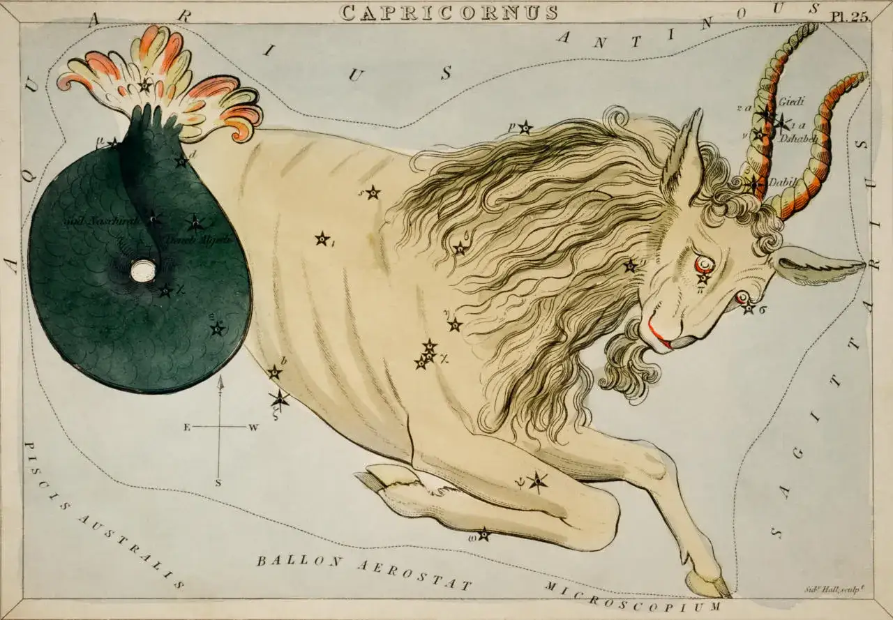 Illustration du symbole capricorne, créature mythique mi-chèvre mi-poisson, ornée d'étoiles et de noms d'étoiles.