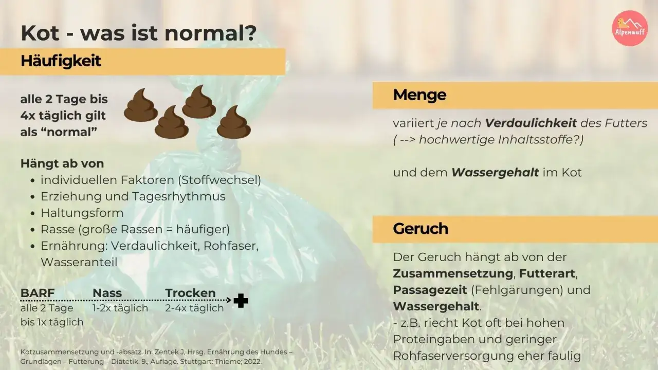 Die Grafik erklärt, wie sieht katzenkot aus. Sie zeigt Häufigkeit, Menge und Geruch, abhängig von Futter und Verdauung.