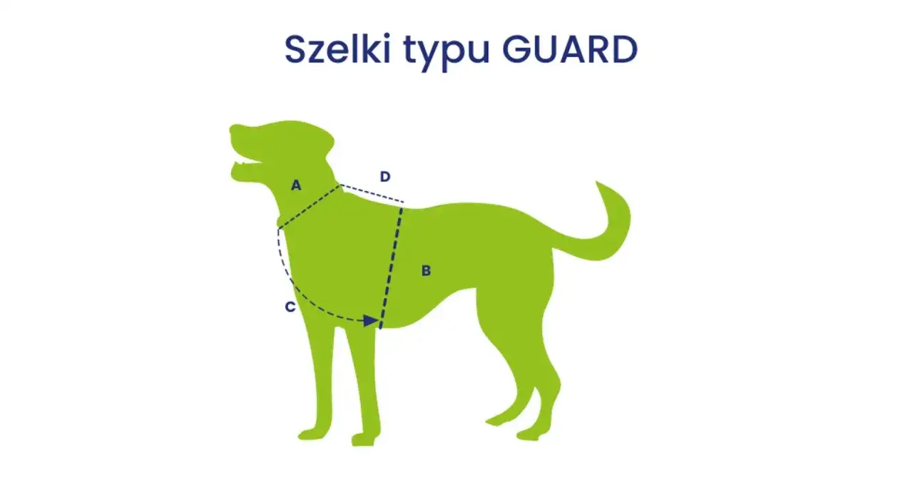 Ilustracja pokazuje zielony zarys psa z zaznaczonymi liniami pomocniczymi, wskazującymi jak dobrać prawidłowe szelki dla psa typu GUARD.