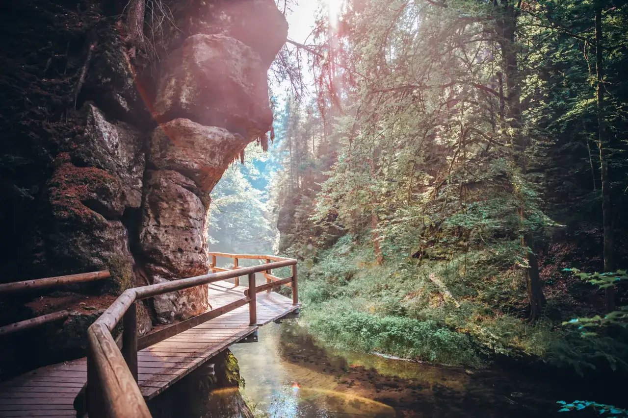 Holzsteg f&uuml;hrt durch Felsspalten und &uuml;ppigen Wald in der B&ouml;hmischen Schweiz. Sonnenstrahlen brechen durch das Bl&auml;tterdach.