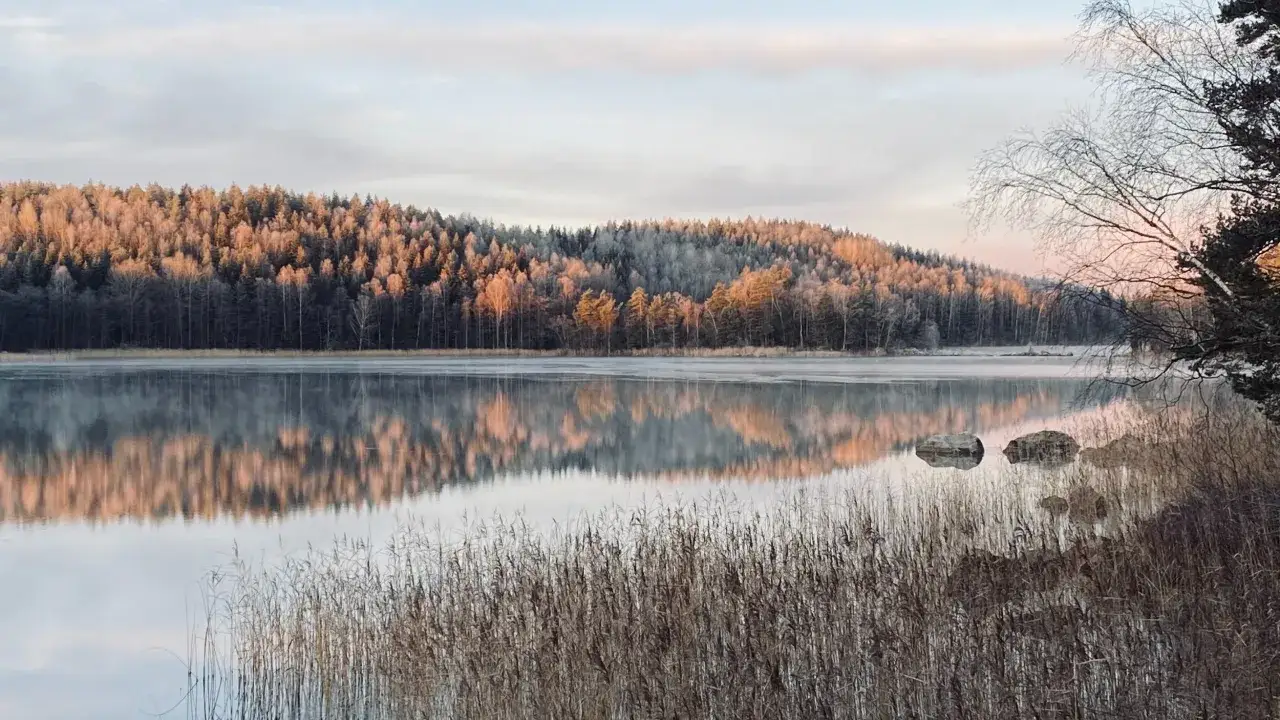 Vintermorgon vid Borkhult Lapphem. Frostig skog speglar sig i en stilla sjö.