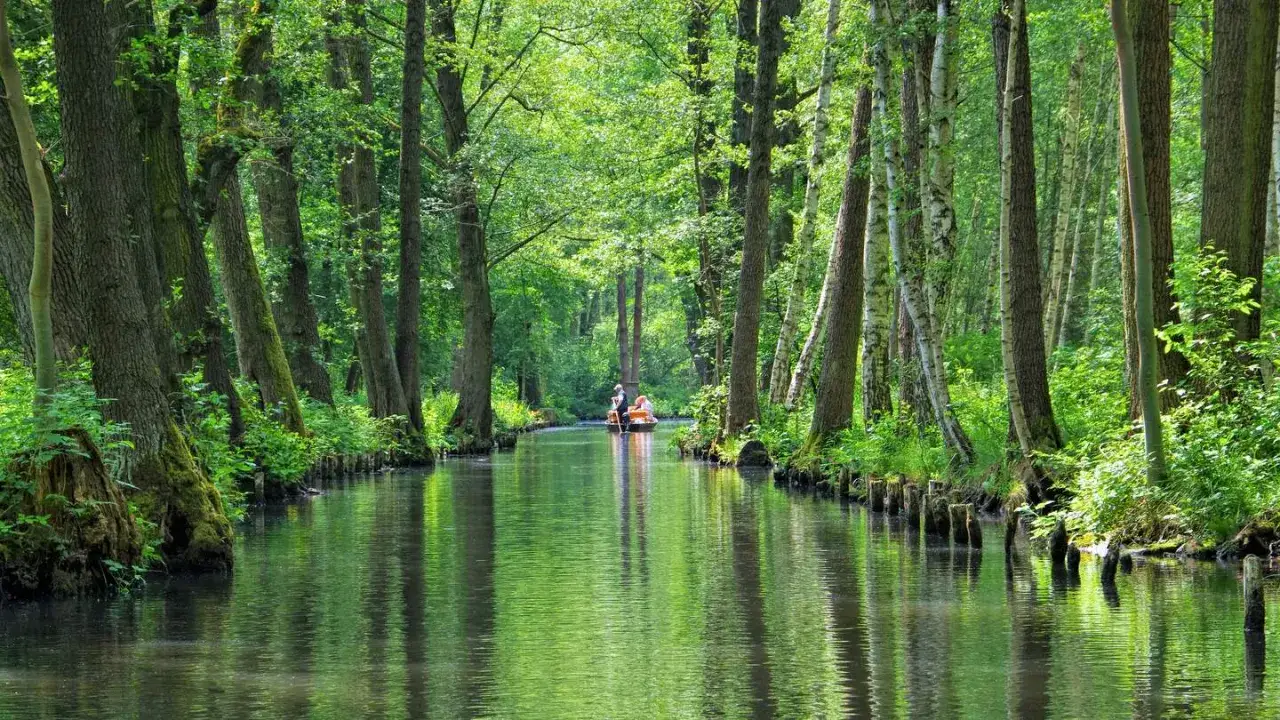 Bootsfahrt durch einen gr&uuml;nen Waldkanal in Brandenburg. Ein perfekter Urlaub im Gr&uuml;nen.